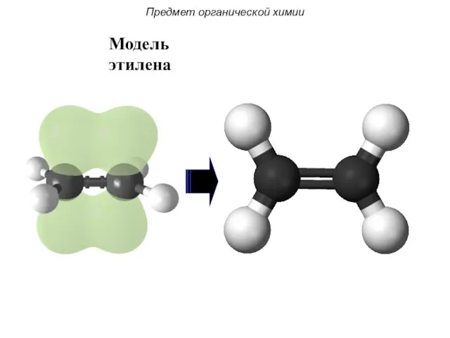Модель этилена Предмет органической химии