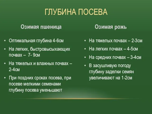 На тяжелых почвах – 2-3см На легких почвах – 4-5см На