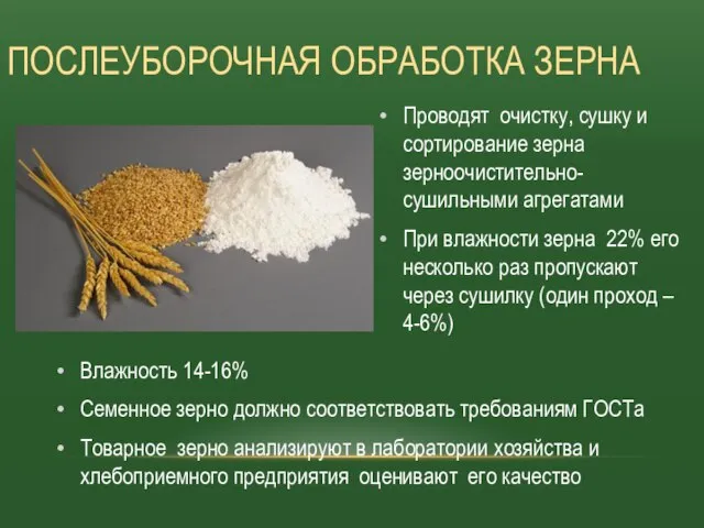 Влажность 14-16% Семенное зерно должно соответствовать требованиям ГОСТа Товарное зерно анализируют