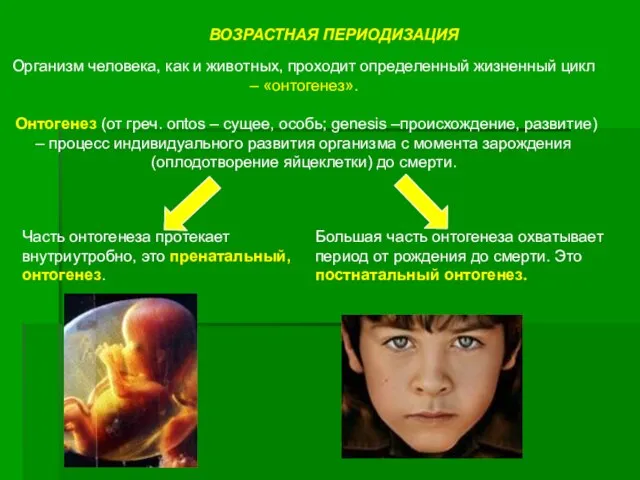 ВОЗРАСТНАЯ ПЕРИОДИЗАЦИЯ Организм человека, как и животных, проходит определенный жизненный цикл