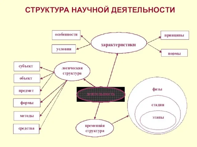 СТРУКТУРА НАУЧНОЙ ДЕЯТЕЛЬНОСТИ