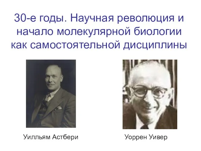 30-е годы. Научная революция и начало молекулярной биологии как самостоятельной дисциплины Уоррен Уивер Уилльям Астбери