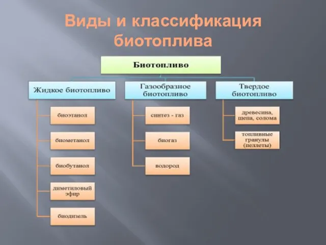 Виды и классификация биотоплива