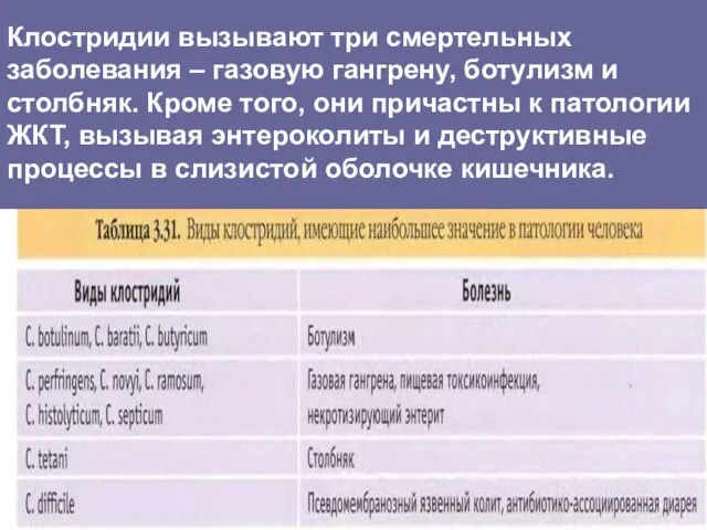 Клостридии вызывают три смертельных заболевания – газовую гангрену, ботулизм и столбняк.