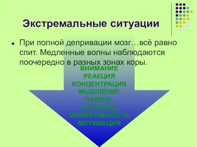 ВНИМАНИЕ РЕАКЦИЯ КОНЦЕНТРАЦИЯ МЫШЛЕНИЕ ПАМЯТЬ СОЗНАНИЕ ЭФФЕКТИВНОСТЬ МОТИВАЦИЯ Экстремальные ситуации При