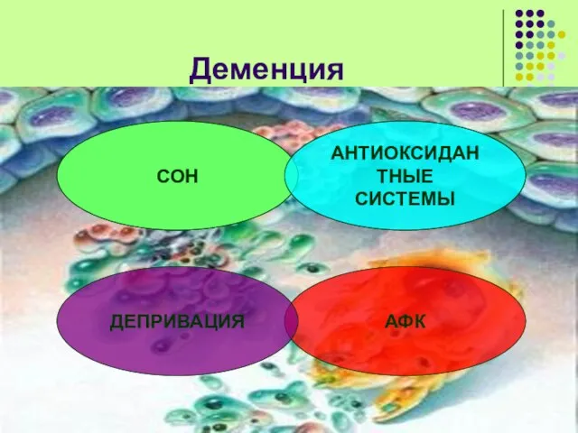 Деменция СОН АНТИОКСИДАНТНЫЕ СИСТЕМЫ АФК ДЕПРИВАЦИЯ СОН АНТИОКСИДАНТНЫЕ СИСТЕМЫ