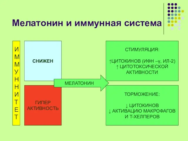 Мелатонин и иммунная система И М М У Н Н И