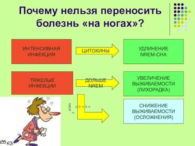 Почему нельзя переносить болезнь «на ногах»? ИНТЕНСИВНАЯ ИНФЕКЦИЯ УДЛИНЕНИЕ NREM-СНА ЦИТОКИНЫ