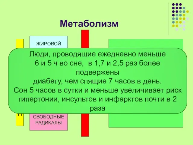 Метаболизм М Е Л А Т О Н И Н ЖИРОВОЙ