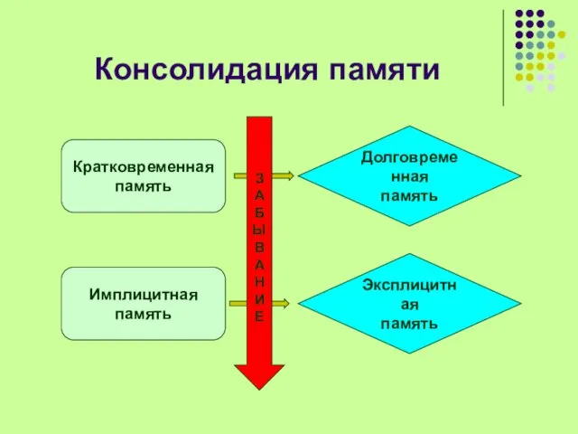 Консолидация памяти Кратковременная память Имплицитная память Долговременная память Эксплицитная память З