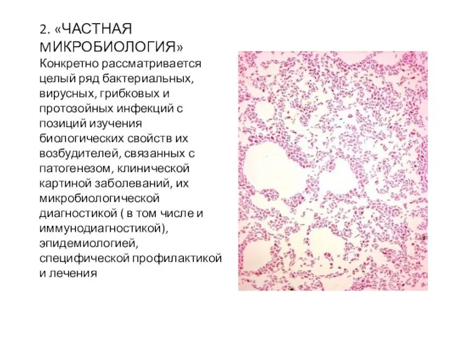 2. «ЧАСТНАЯ MИКРОБИОЛОГИЯ» Конкретно рассматривается целый ряд бактериальных, вирусных, грибковых и