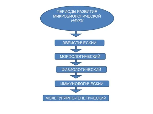 ПЕРИОДЫ РАЗВИТИЯ МИКРОБИОЛОГИЧЕСКОЙ НАУКИ ЭВРИСТИЧЕСКИЙ МОРФОЛОГИЧЕСКИЙ ФИЗИОЛОГИЧЕСКИЙ ИММУНОЛОГИЧЕСКИЙ МОЛЕГУЛЯРНО-ГЕНЕТИЧЕСКИЙ
