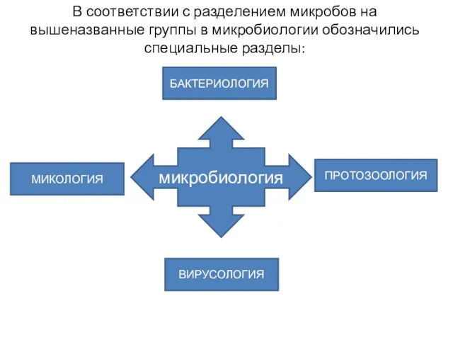 микробиология ВИРУСОЛОГИЯ БАКТЕРИОЛОГИЯ МИКОЛОГИЯ ПРОТОЗООЛОГИЯ В соответствии с разделением микробов на