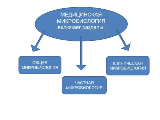 МЕДИЦИНСКАЯ МИКРОБИОЛОГИЯ включает разделы: ОБЩАЯ МИКРОБИОЛОГИЯ ЧАСТНАЯ MИКРОБИОЛОГИЯ КЛИНИЧЕСКАЯ МИКРОБИОЛОГИЯ