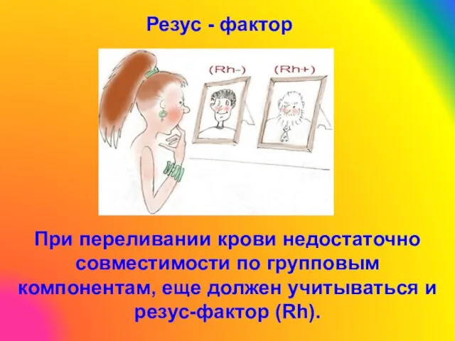 Резус - фактор При переливании крови недостаточно совместимости по групповым компонентам,