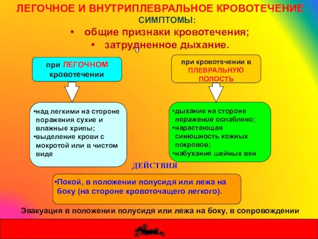 при ЛЕГОЧНОМ кровотечении при кровотечении в ПЛЕВРАЛЬНУЮ ПОЛОСТЬ над легкими на