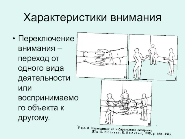 Характеристики внимания Переключение внимания – переход от одного вида деятельности или воспринимаемого объекта к другому.