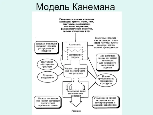 Модель Канемана