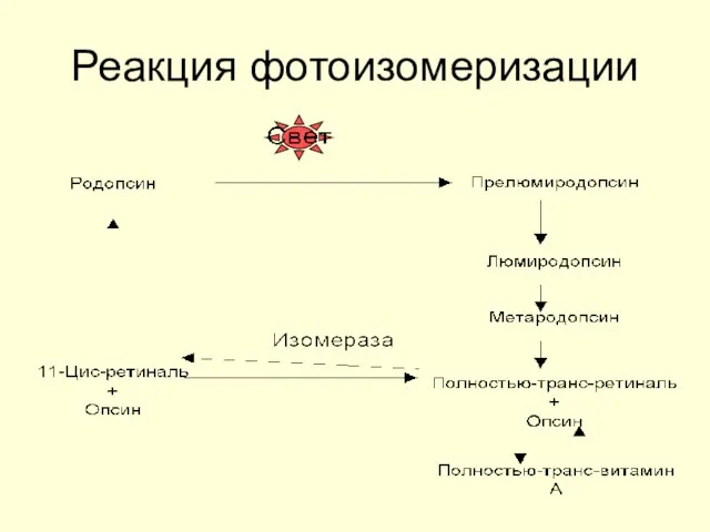 Реакция фотоизомеризации