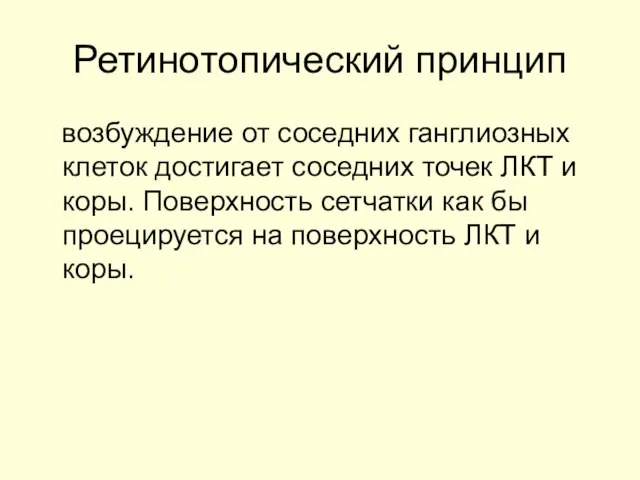 Ретинотопический принцип возбуждение от соседних ганглиозных клеток достигает соседних точек ЛКТ