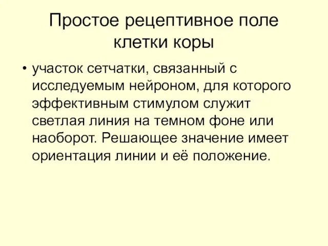 Простое рецептивное поле клетки коры участок сетчатки, связанный с исследуемым нейроном,