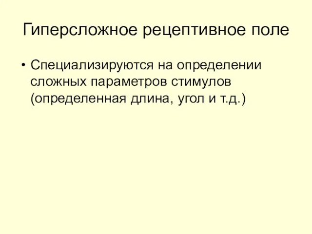 Гиперсложное рецептивное поле Специализируются на определении сложных параметров стимулов (определенная длина, угол и т.д.)