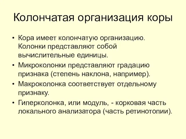 Колончатая организация коры Кора имеет колончатую организацию. Колонки представляют собой вычислительные