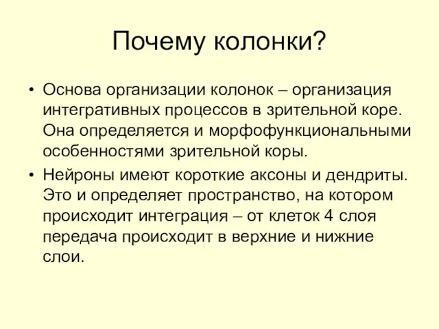 Почему колонки? Основа организации колонок – организация интегративных процессов в зрительной