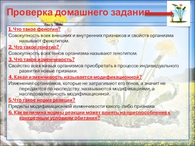 Проверка домашнего задания 1. Что такое фенотип? Совокупность всех внешних и