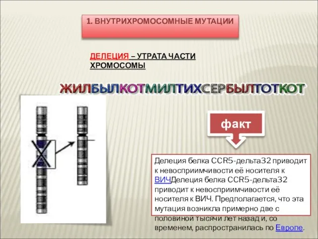 1. ВНУТРИХРОМОСОМНЫЕ МУТАЦИИ ДЕЛЕЦИЯ – УТРАТА ЧАСТИ ХРОМОСОМЫ Делеция белка CCR5-дельта32