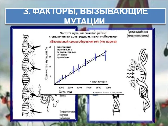 3. ФАКТОРЫ, ВЫЗЫВАЮЩИЕ МУТАЦИИ.