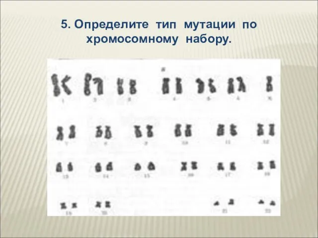 5. Определите тип мутации по хромосомному набору.