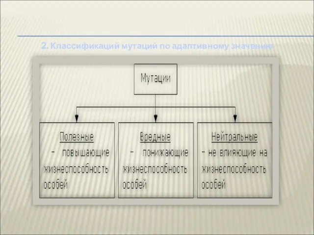 2. Классификаций мутаций по адаптивному значению