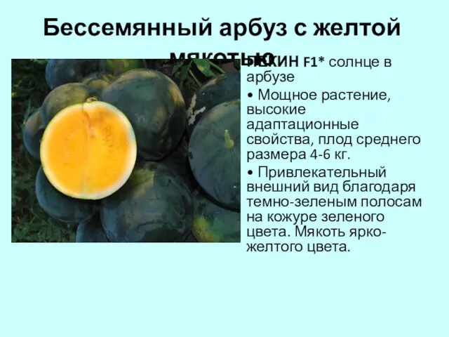 Бессемянный арбуз с желтой мякотью ПЕКИН F1* солнце в арбузе •