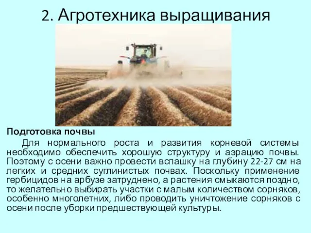 2. Агротехника выращивания Подготовка почвы Для нормального роста и развития корневой