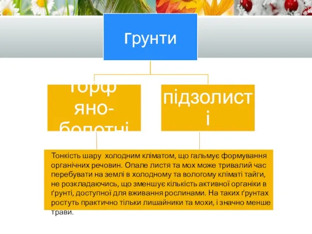 Тонкість шару холодним кліматом, що гальмує формування органічних речовин. Опале листя