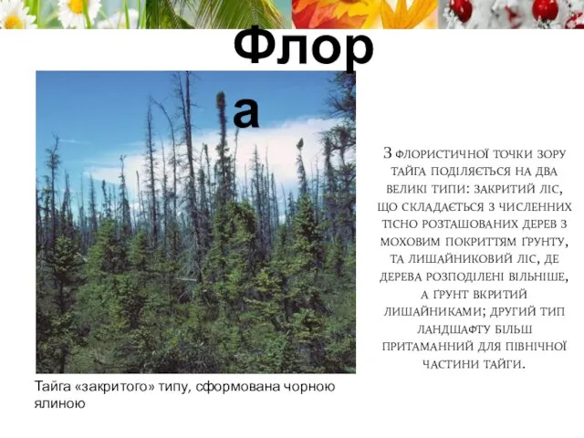 З флористичної точки зору тайга поділяється на два великі типи: закритий