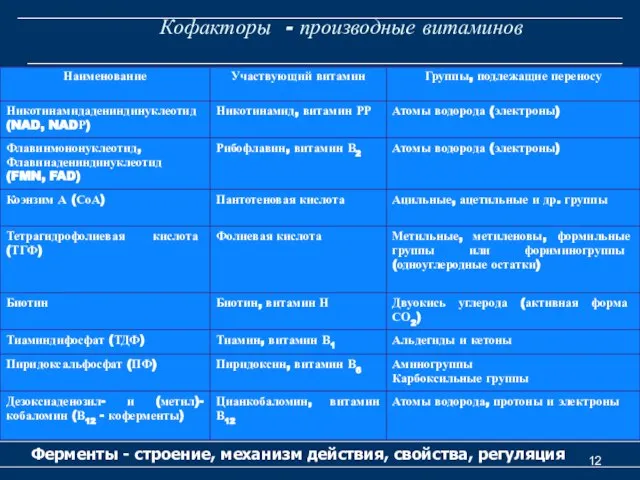 Кофакторы - производные витаминов Ферменты - строение, механизм действия, свойства, регуляция