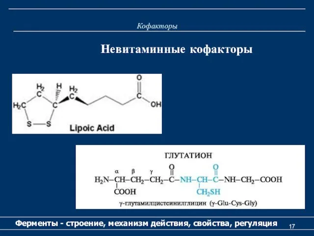 Кофакторы Ферменты - строение, механизм действия, свойства, регуляция Невитаминные кофакторы