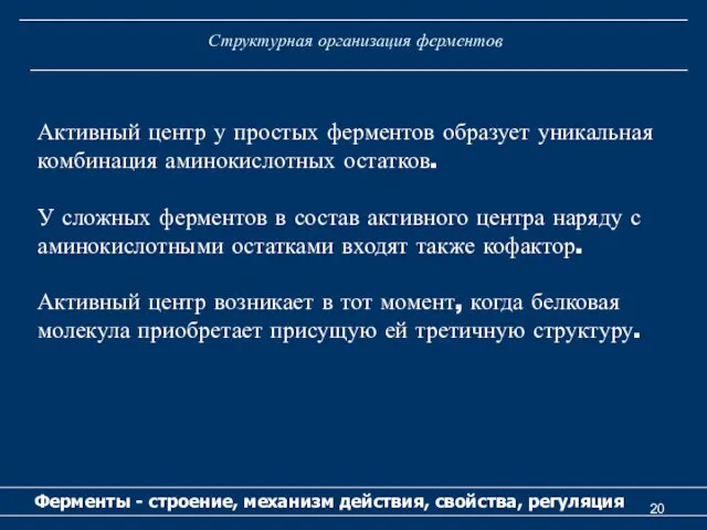 Структурная организация ферментов Ферменты - строение, механизм действия, свойства, регуляция Активный