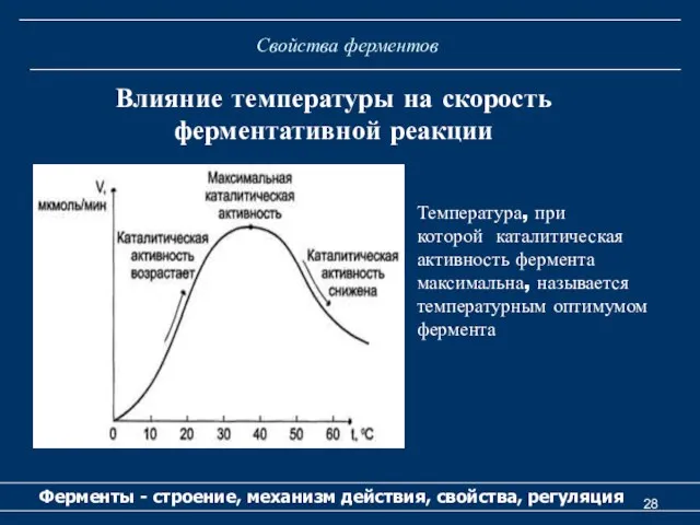 Свойства ферментов Ферменты - строение, механизм действия, свойства, регуляция Влияние температуры