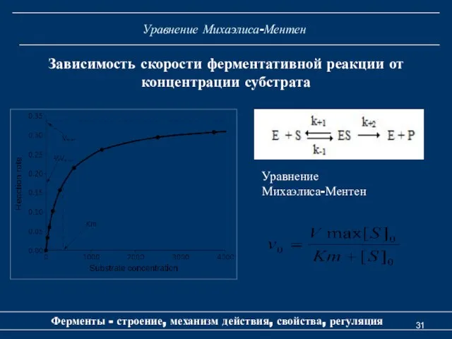 Уравнение Михаэлиса-Ментен Ферменты - строение, механизм действия, свойства, регуляция Зависимость скорости