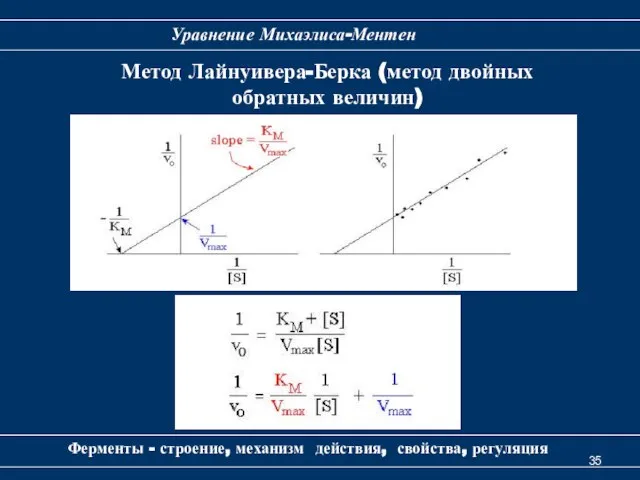 Ферменты - строение, механизм действия, свойства, регуляция Уравнение Михаэлиса-Ментен Метод Лайнуивера-Берка (метод двойных обратных величин)