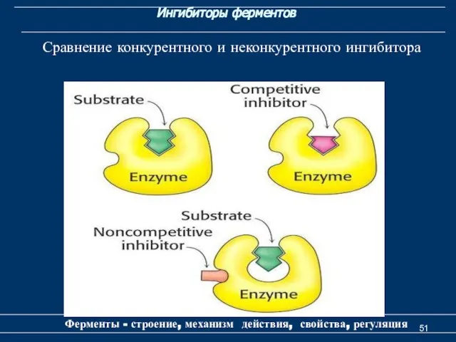 Ингибиторы ферментов Ферменты - строение, механизм действия, свойства, регуляция Сравнение конкурентного и неконкурентного ингибитора