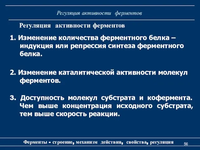 Регуляция активности ферментов 1. Изменение количества ферментного белка – индукция или