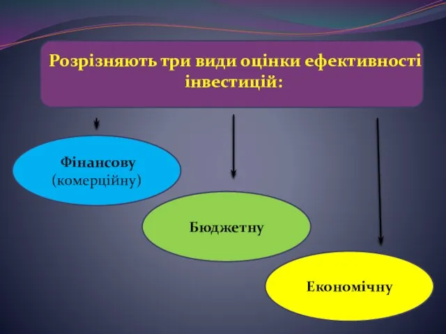 Розрізняють три види оцінки ефективності інвестицій: Фінансову (комерційну) Бюджетну Економічну