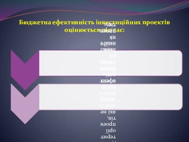 Бюджетна ефективність інвестиційних проектів оцінюється під час: