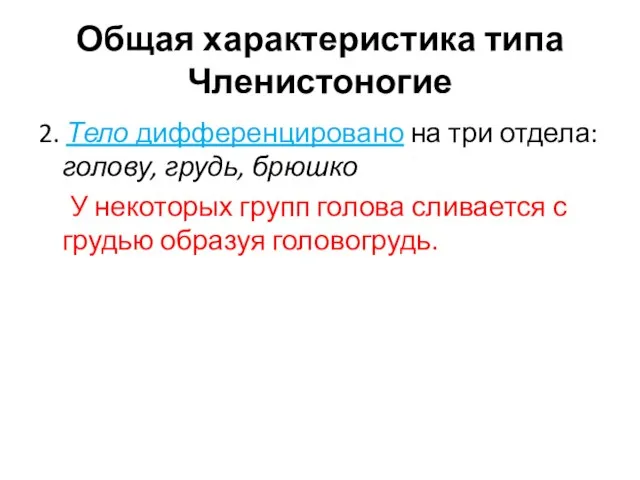 2. Тело дифференцировано на три отдела: голову, грудь, брюшко У некоторых