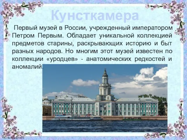 Кунсткамера Первый музей в России, учрежденный императором Петром Первым. Обладает уникальной