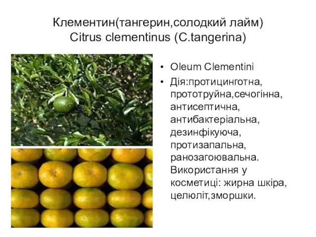 Клементин(тангерин,солодкий лайм) Citrus clementinus (C.tangerina) Oleum Clementini Дія:протицинготна,прототруйна,сечогінна,антисептична,антибактеріальна,дезинфікуюча,протизапальна,ранозагоювальна. Використання у косметиці: жирна шкіра,целюліт,зморшки.